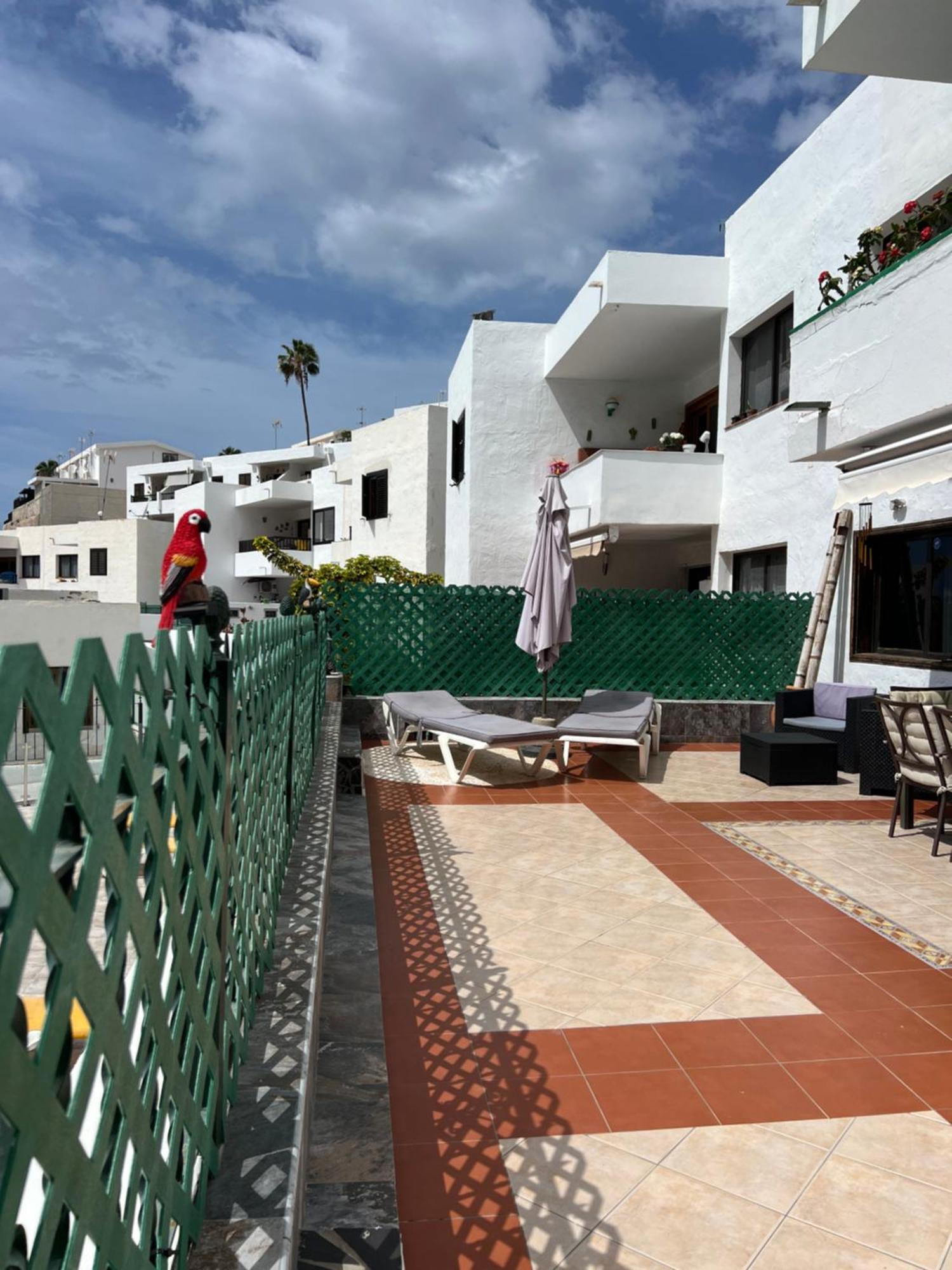 Lovely Apartment 2 Rooms With Big Terrace In Puerto Rico 波多黎各 外观 照片